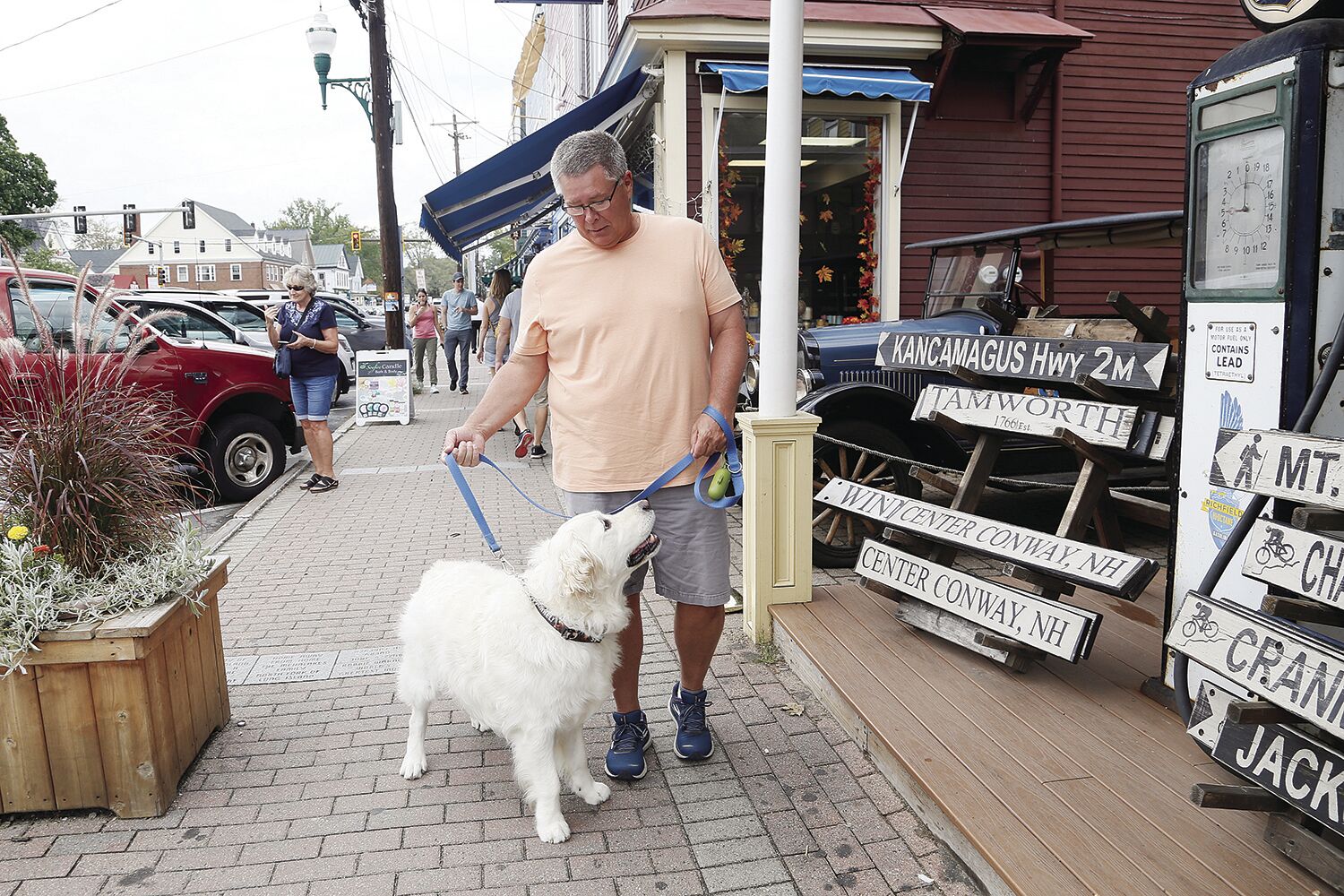 Dog-friendly Mount Washington Valley